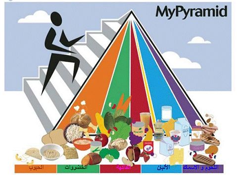    Food Guide Pyramid