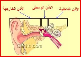 التهاب الأذن الخارجية ( أذن السباحين ) External otitis - Swimmers' ear
