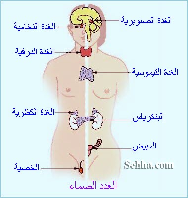 أمراض الغدد الصم