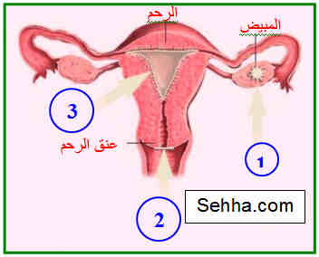 حقن منع الحمل Contraceptive Injections