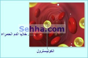 الكوليسترول